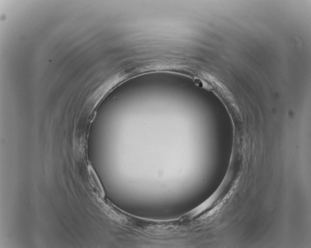 X0000064771185200602171817