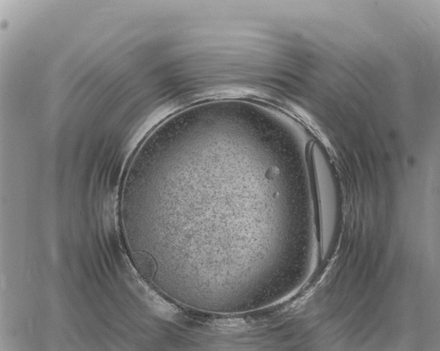 X0000064771186200602171817