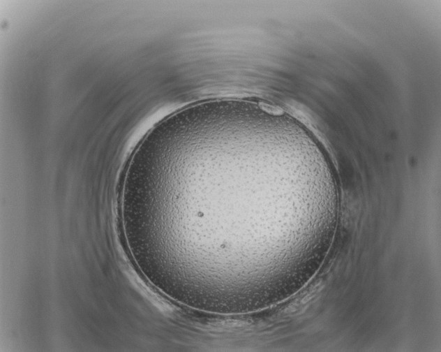 X0000064771187200602171817