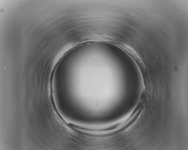 X0000064771188200602171817