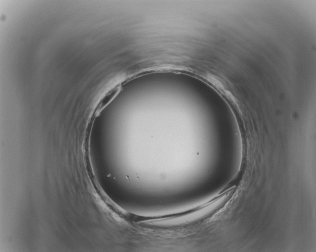 X0000064771189200602171817