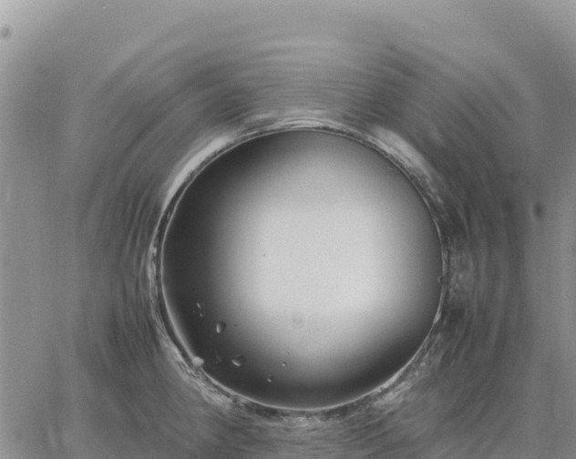 X0000064771190200602171817