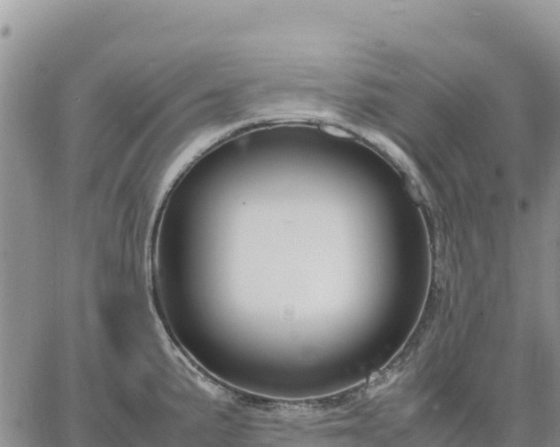 X0000064771191200602171817