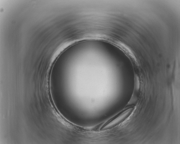 X0000064771192200602171817