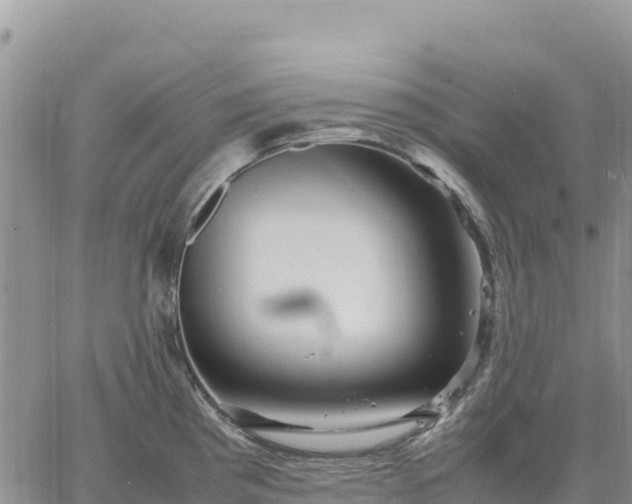 X0000064771193200602171817