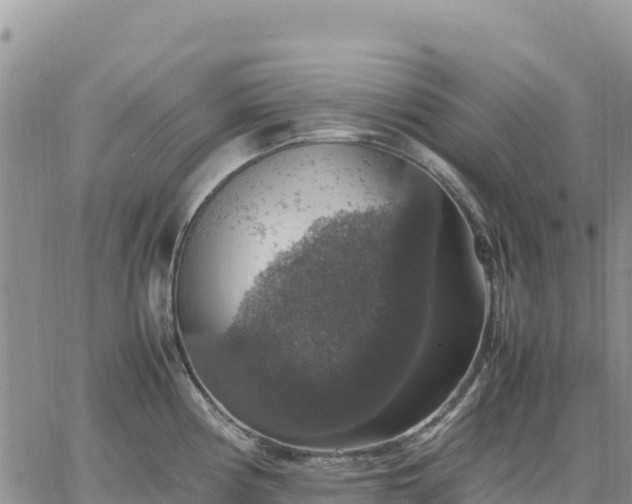 X0000064771194200602171816