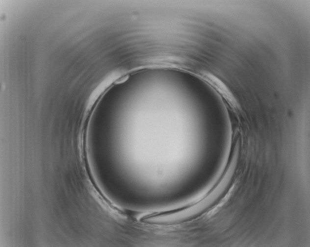 X0000064771196200602171816