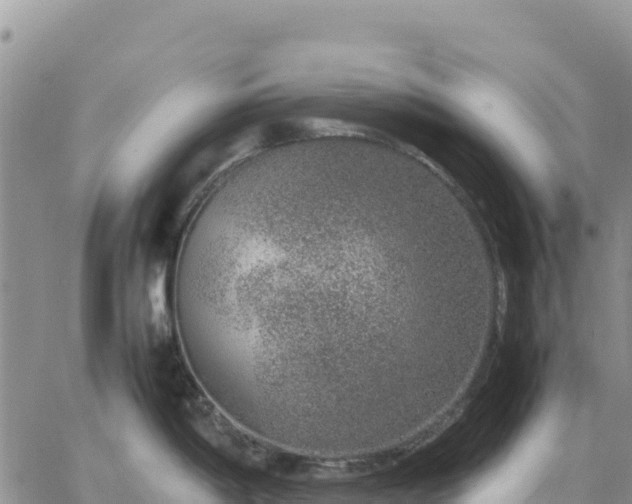 X0000064771198200602171816