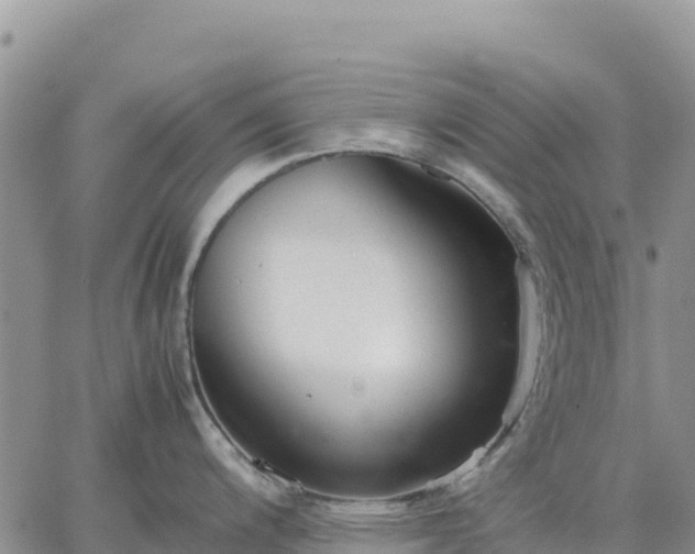 X0000064771200200602171816