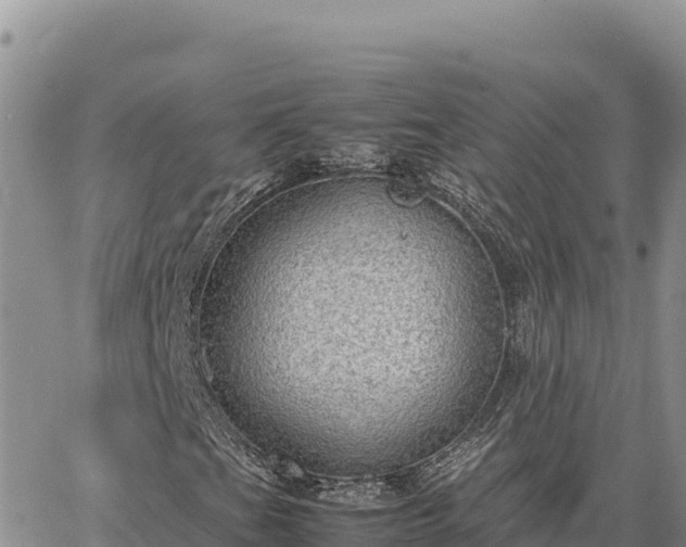 X0000064771201200602171816