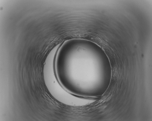 X0000064771202200602171816