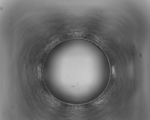 X0000064771203200602171816