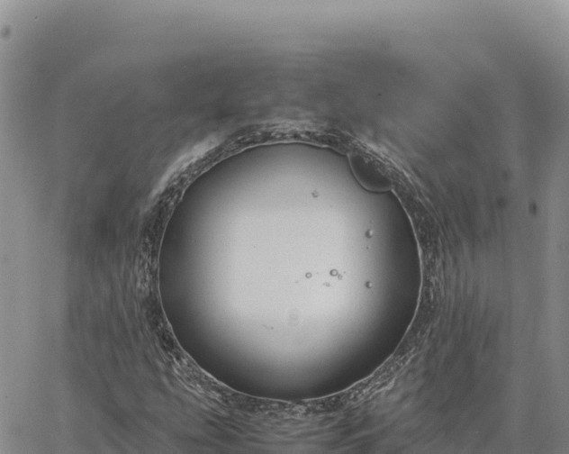 X0000064771207200602171816