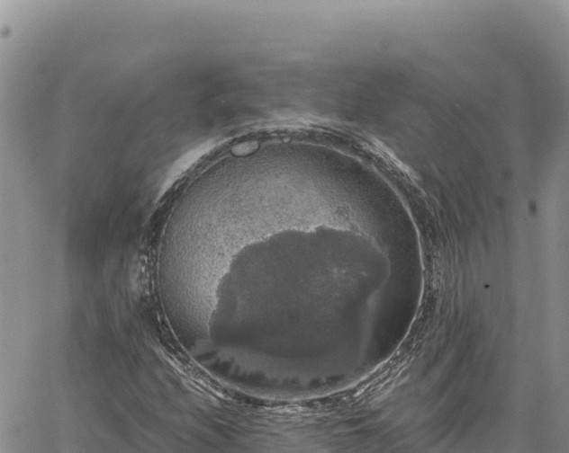 X0000064771208200602171816