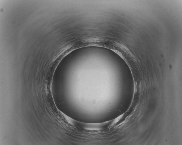 X0000064771209200602171816