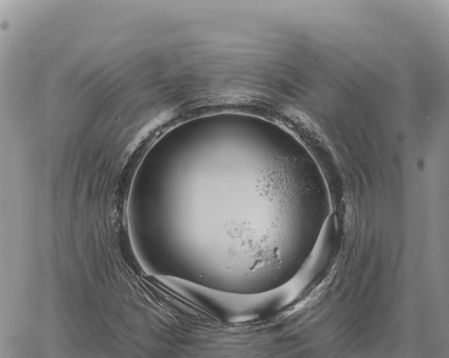 X0000064771210200602171816