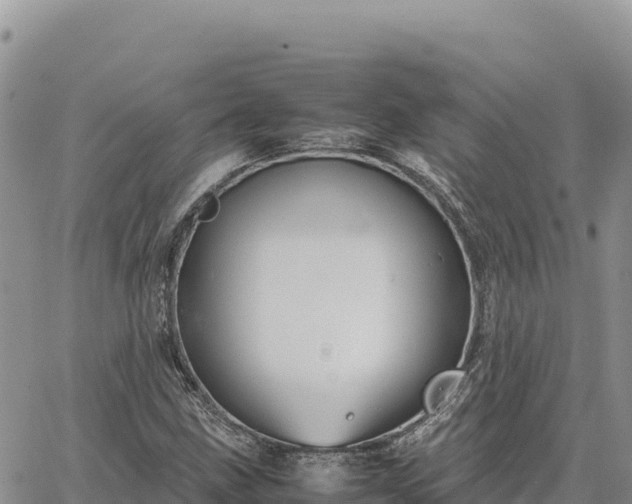 X0000064771211200602171816