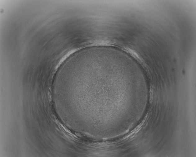 X0000064771212200602171816