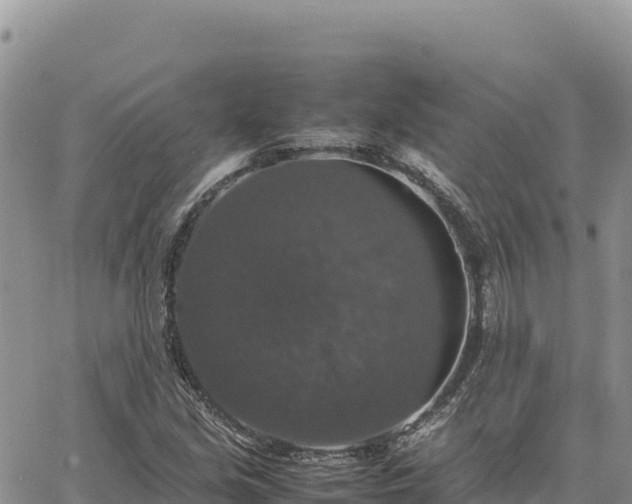 X0000064771213200602171816