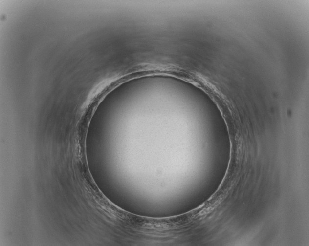 X0000064771215200602171816