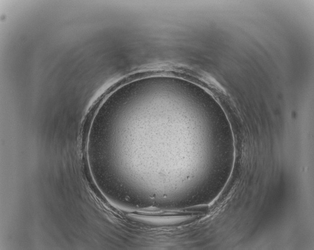 X0000064771216200602171816