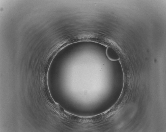 X0000064771217200602171816