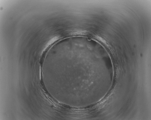 X0000064771219200602171816