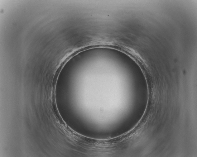 X0000064771220200602171816