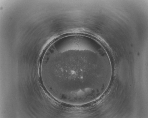 X0000064771224200602171816