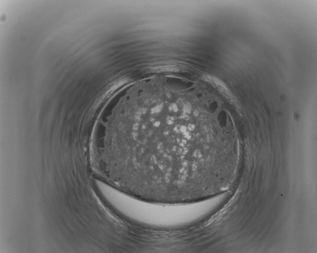 X0000064771225200602171816