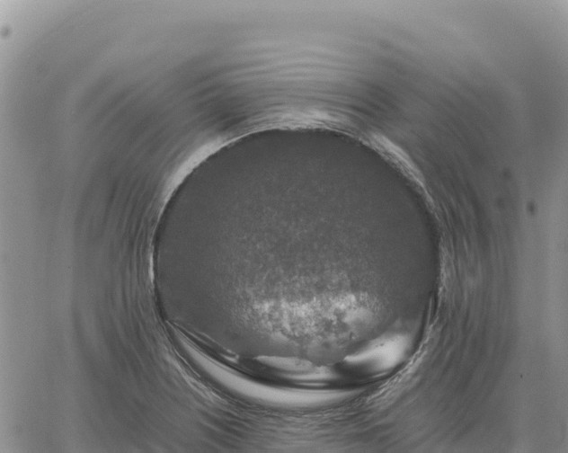 X0000064771226200602171816