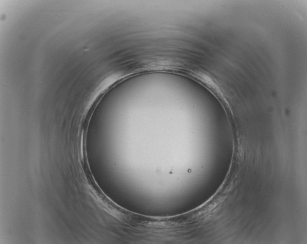 X0000064771227200602171816