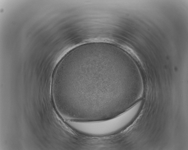 X0000064771228200602171816