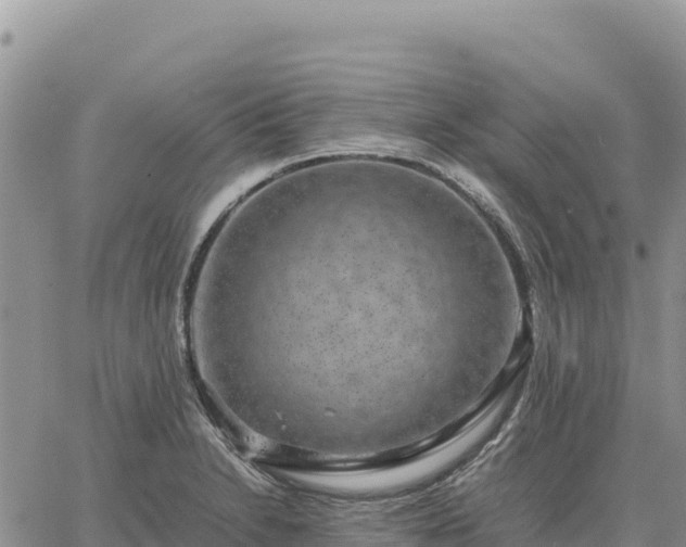 X0000064771230200602171816