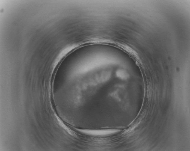 X0000064771231200602171816