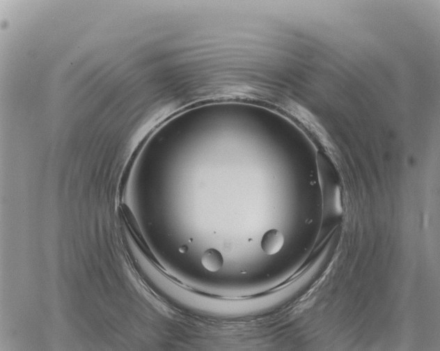 X0000064771234200602171816