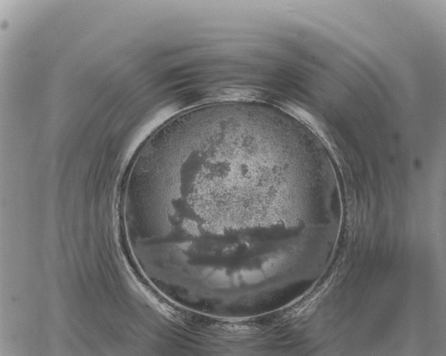 X0000064771235200602171816