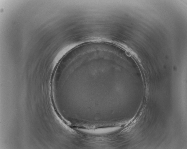 X0000064771239200602171816