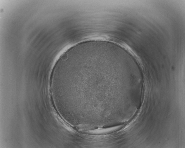 X0000064771240200602171816