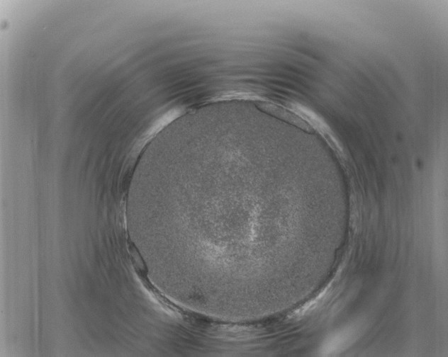 X0000064771241200602171816