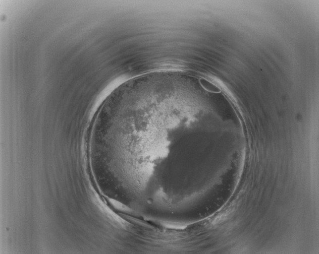 X0000064771243200602171816