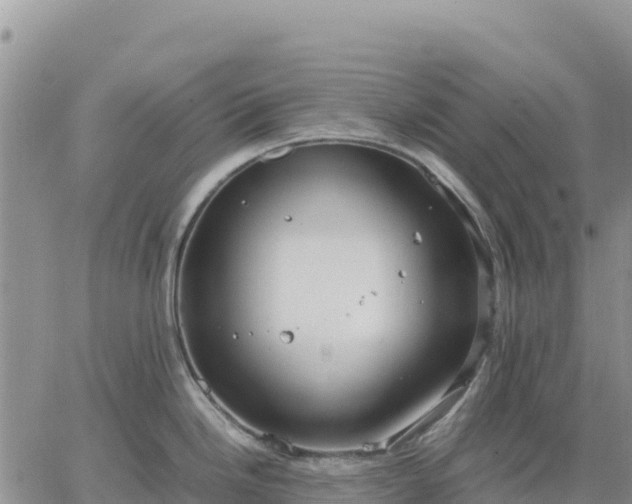 X0000064771246200602171816