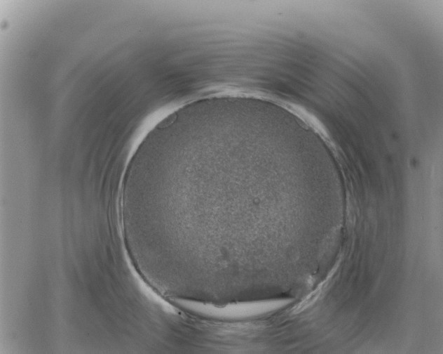 X0000064771247200602171816