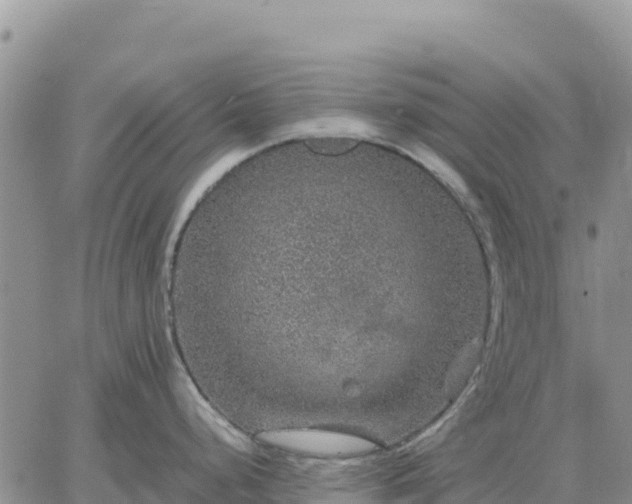 X0000064771248200602171816