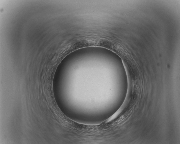 X0000064771249200602171816