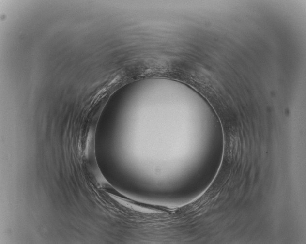 X0000064771250200602171815