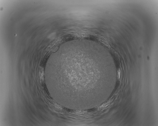 X0000064771251200602171815