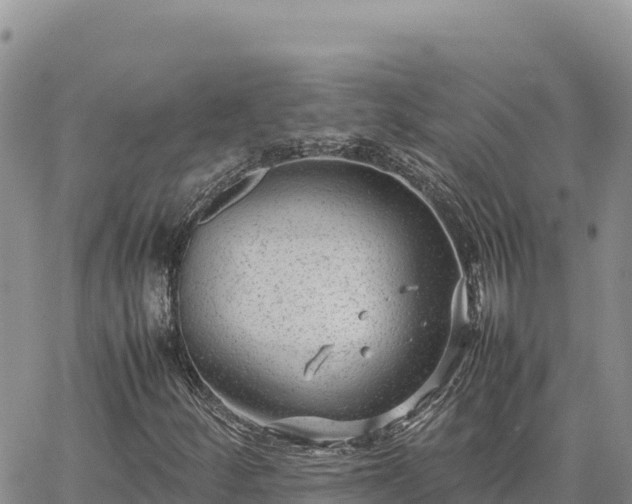 X0000064771252200602171815