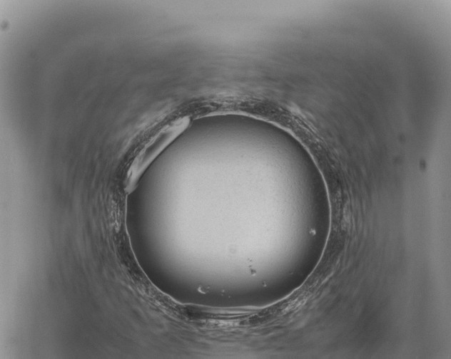 X0000064771253200602171815