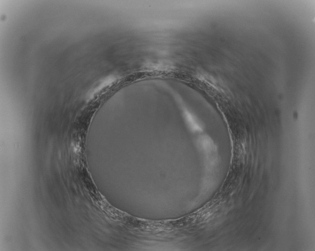 X0000064771254200602171815